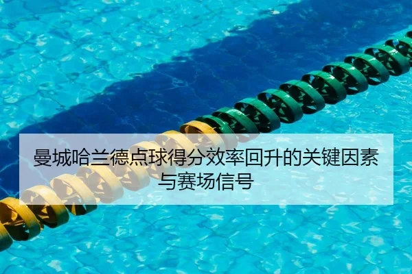 man-cheng-ha-lan-de-dian-qiu-de-fen-xiao-lv-hui-sheng-de-guan-jian-yin-su-yu-sai-chang-xin-hao-2-840.jpg